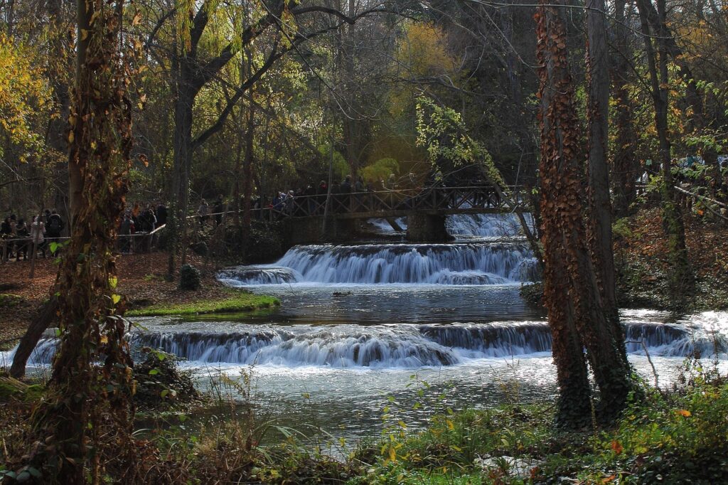 Ho'oponopono na prática