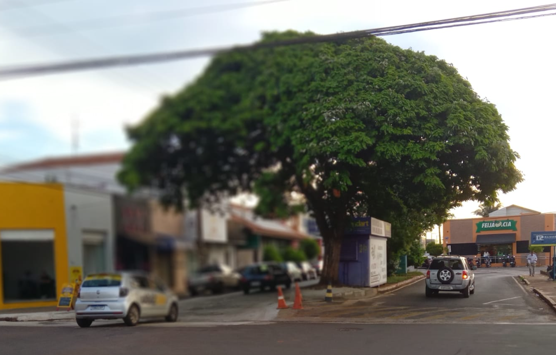 Descobrindo a Avenida Armando Salles de Assis
