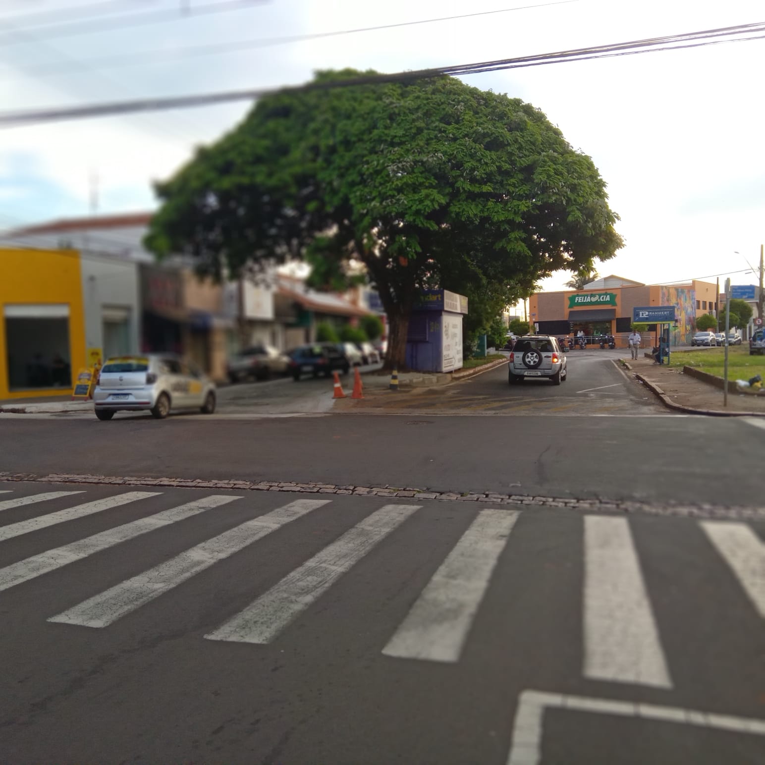 Avenida Armando Salles de Assis